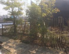 青々とした緑に快適性を加えた癒しの空間｜千葉県佐倉市ユーカリが丘のＩ様邸のお庭リフォーム